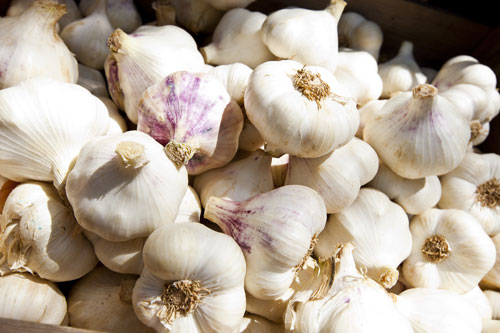 Garlic can cause bad breath